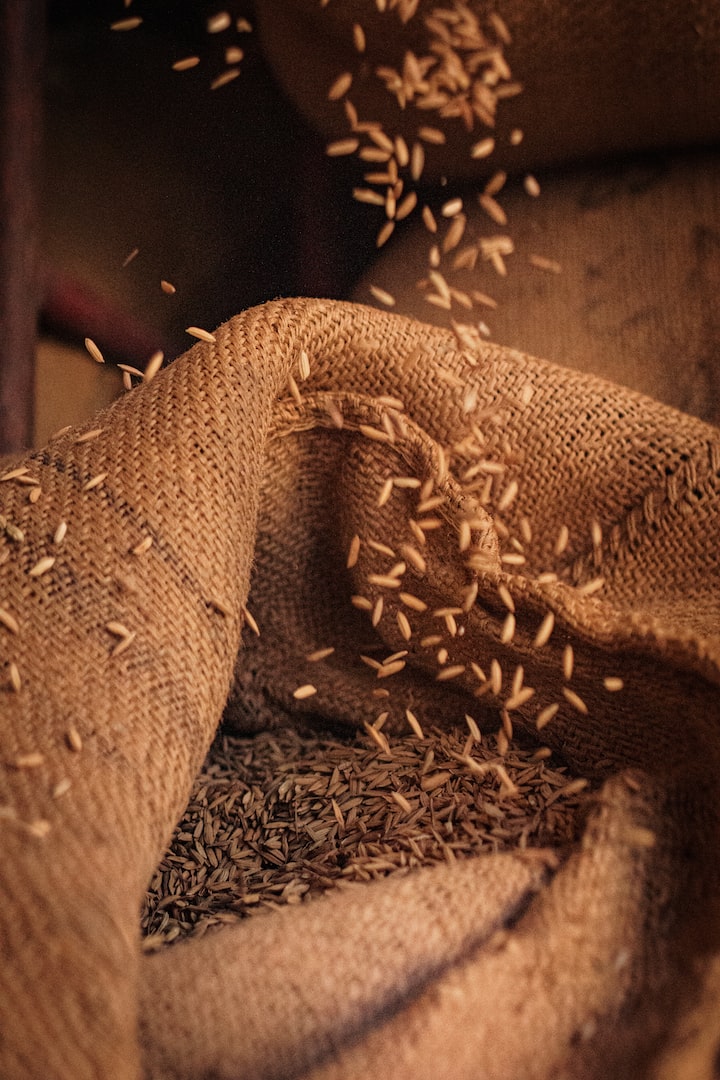 burlap sack with grain